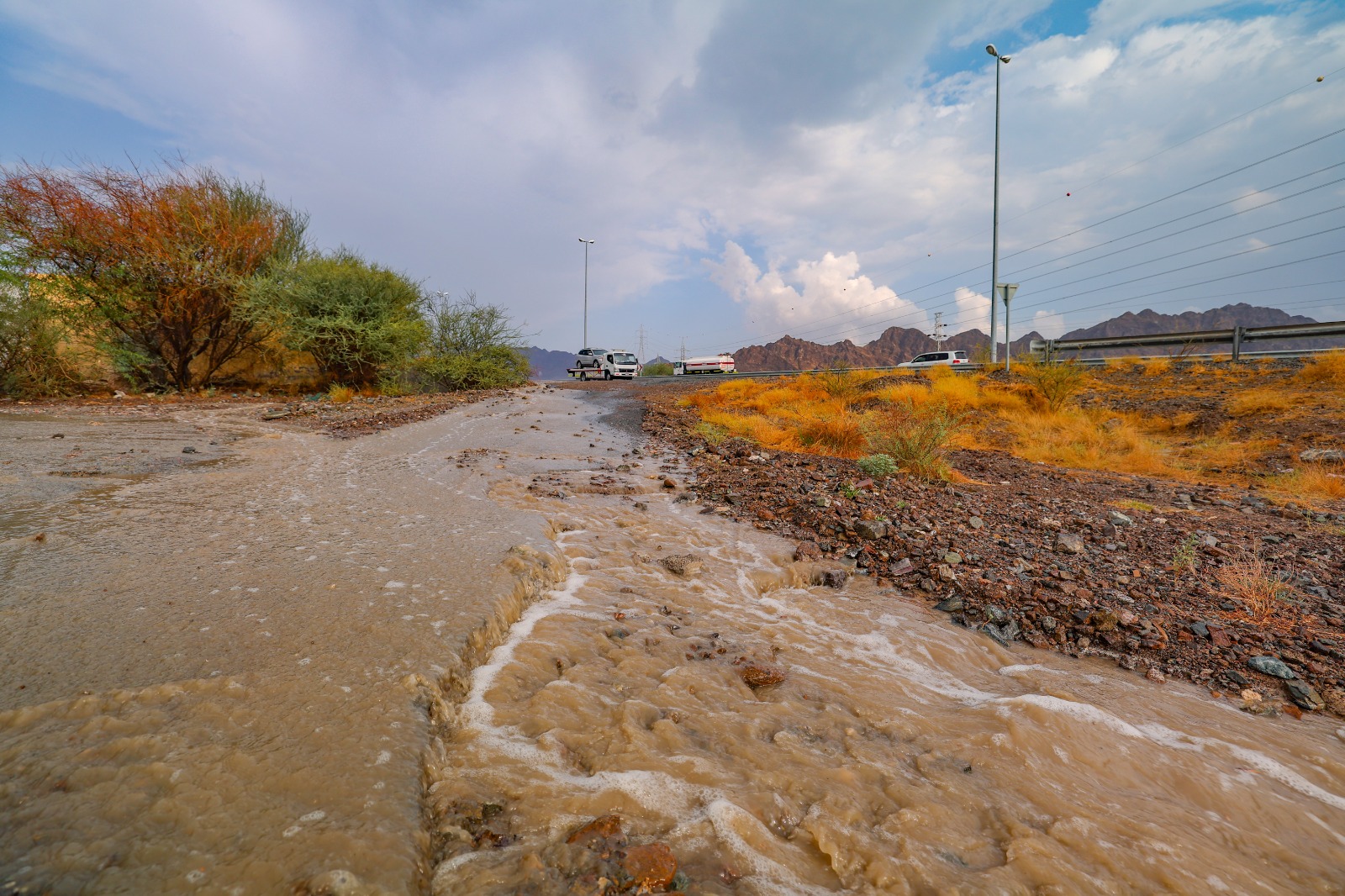 "تصوير: زيشان أحمد"