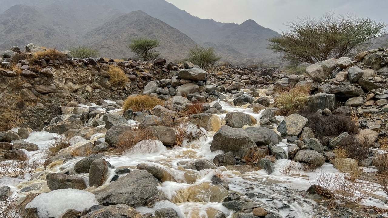 "جريان الأمطار في وادي مي الفجيرة - تصوير: دينيس مالاري، زافير ويلسون، وزيشان أحمد"
