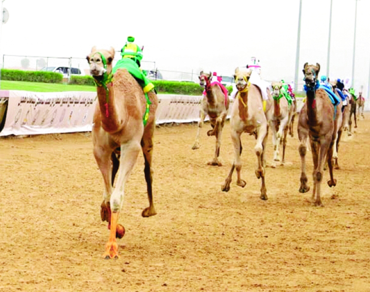 "جانب من المنافسات | البيان"