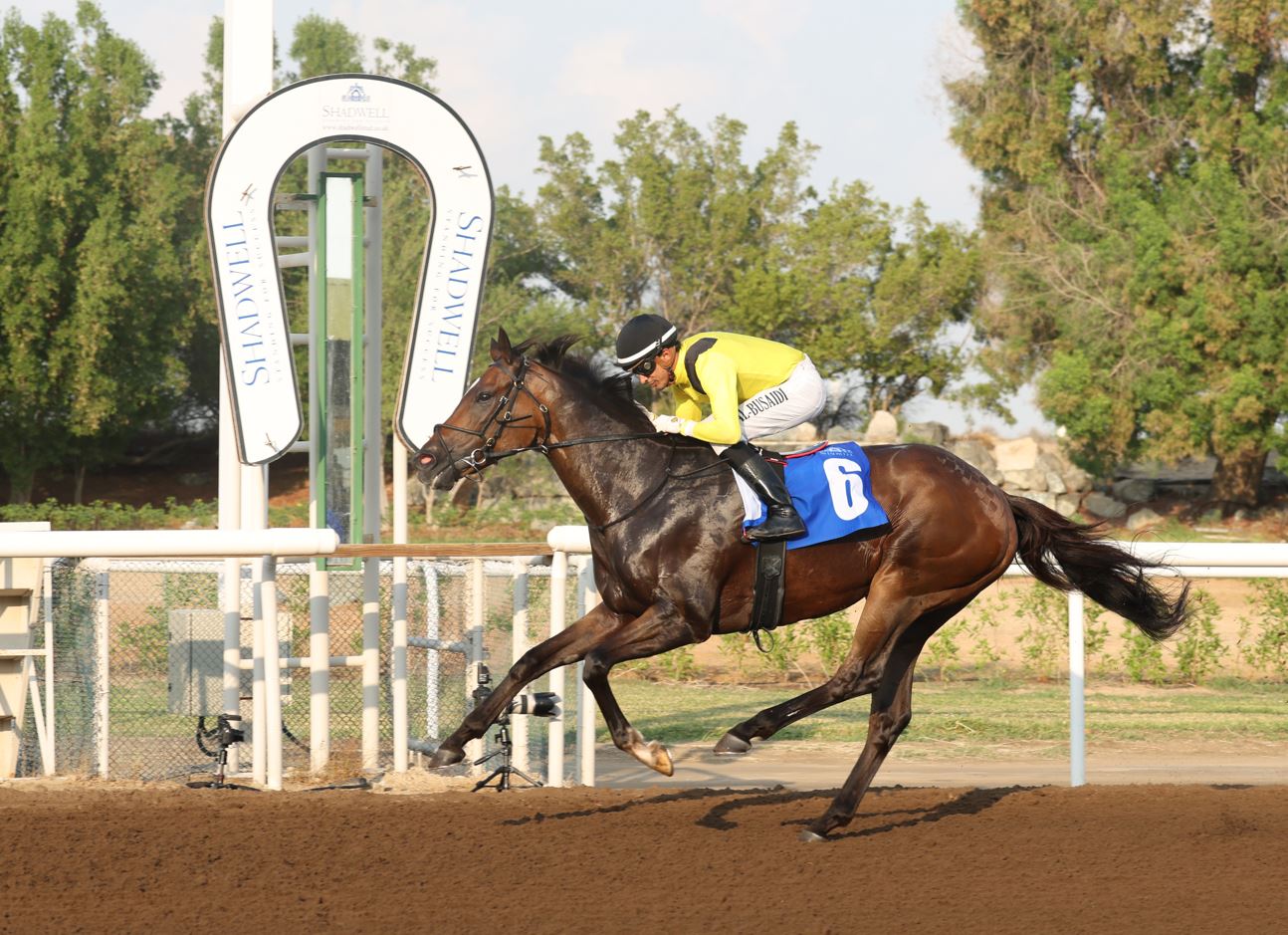 "«مرسال» نجم الشوط الرئيس تصوير - زافير ويلسون"