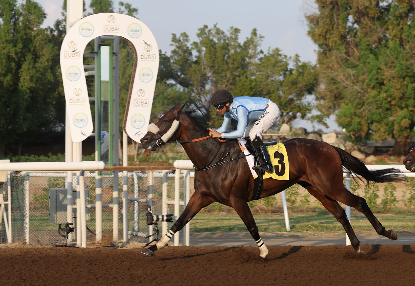 "«اتريبيوشن» يتألق في الشوط السادس البيان"