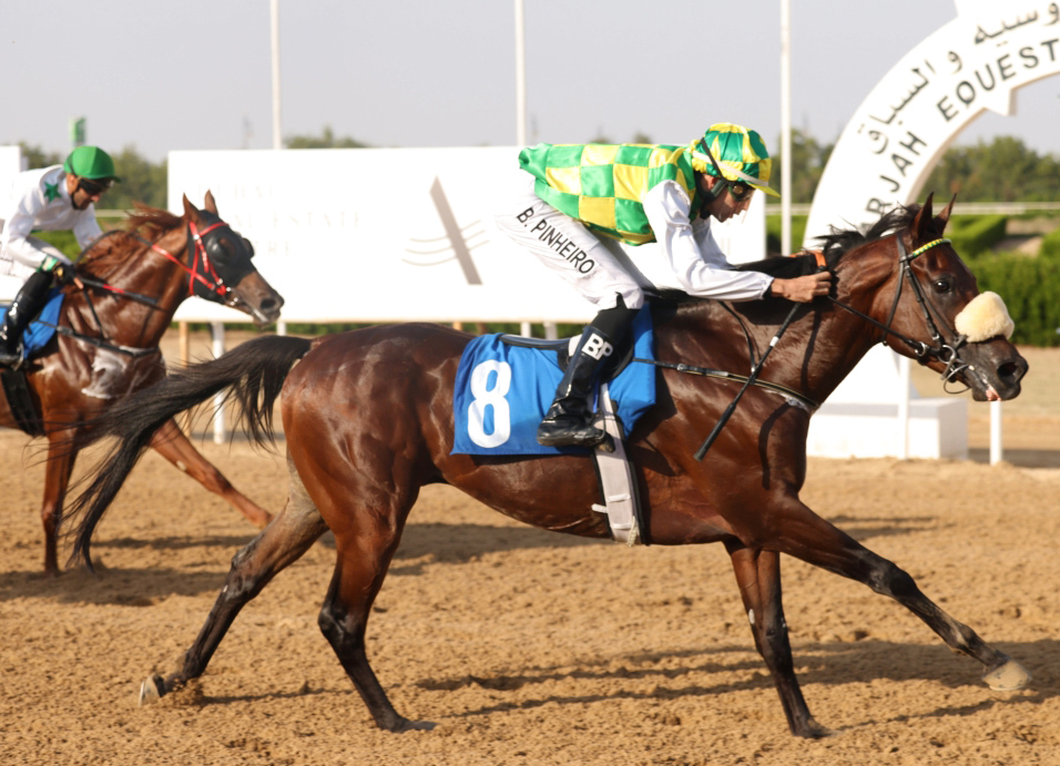 "«بسام الوثبة» نجم «كأس ولي عهد الشارقة» | تصوير - زافير ويلسون"