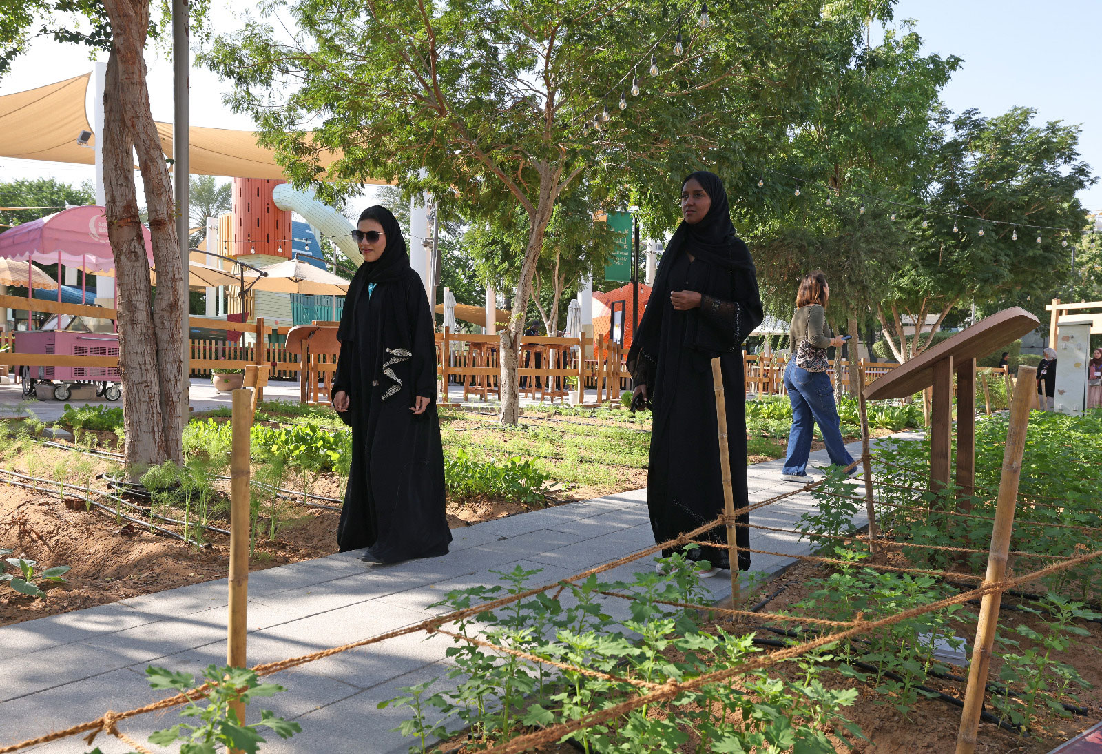 "تصوير/ إبراهيم صادق"