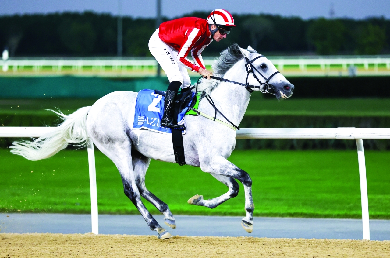 "«آر بي ريتش لايك مي » نجم الخيول العربية | تصوير - دينيس مالاري"