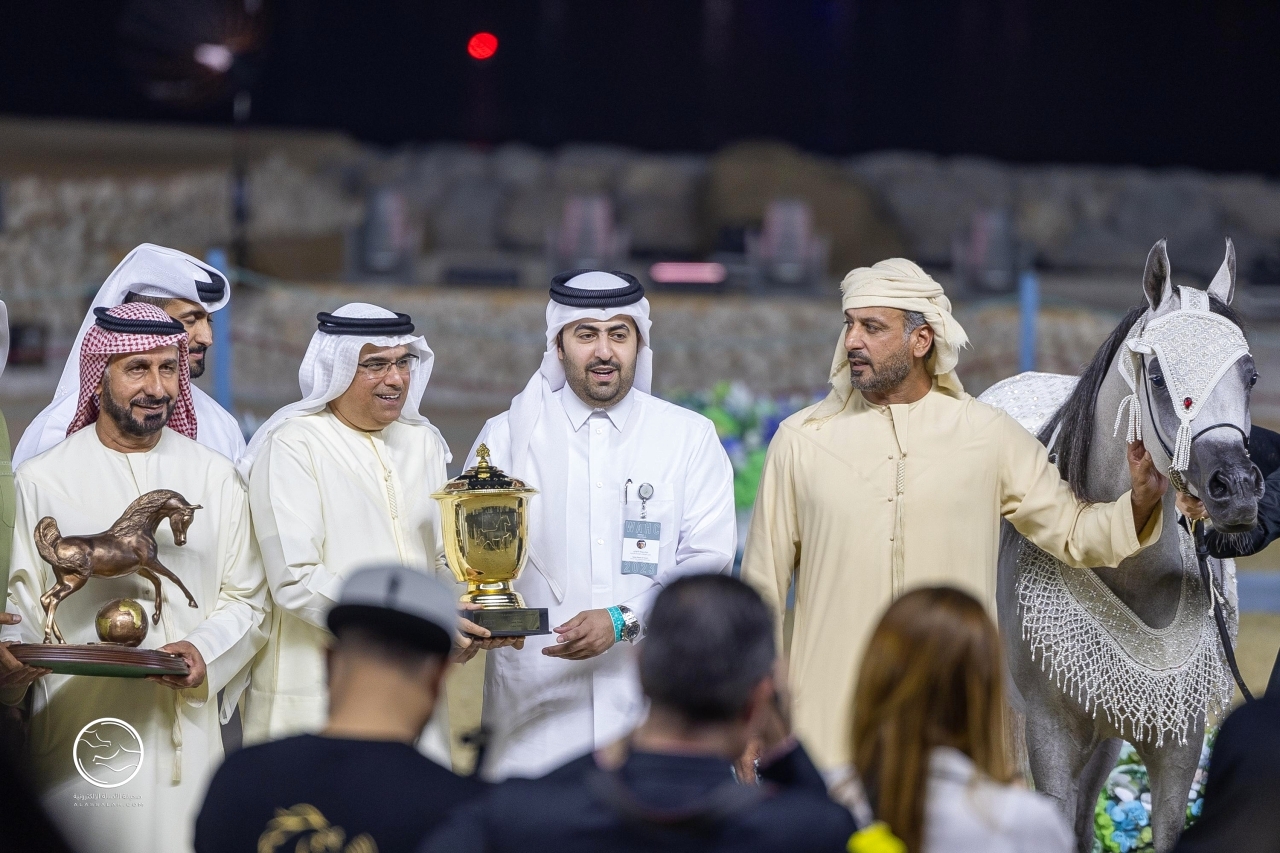مربط دبي يتربع على عرش بطولة العالم لجمال الخيل في الدوحة