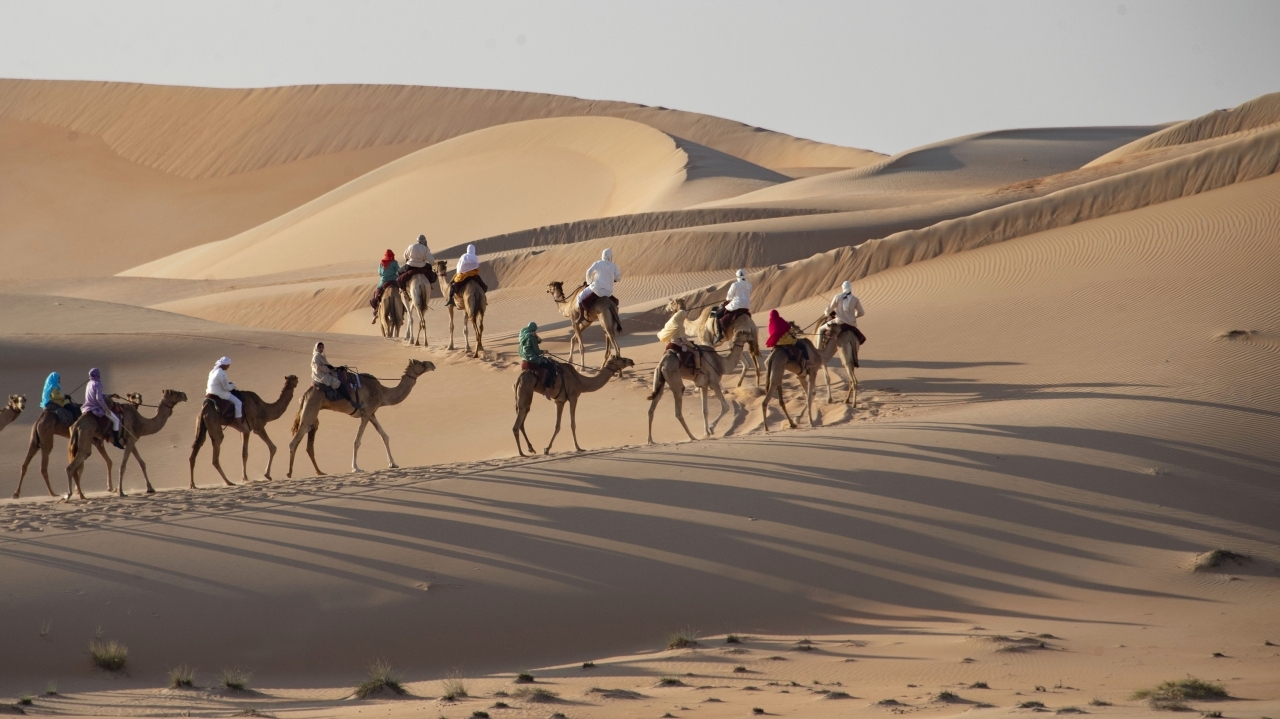 33 مشاركاً من 16 دولة في النسخة العاشرة من رحلة الهجن الاثنين