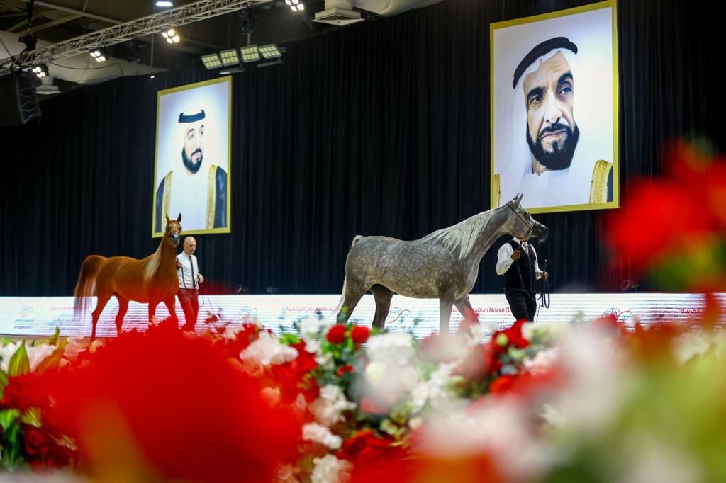 "خيول الأريام" تحرز " ثنائية" في افتتاح بطولة العرب لمربي الخيل