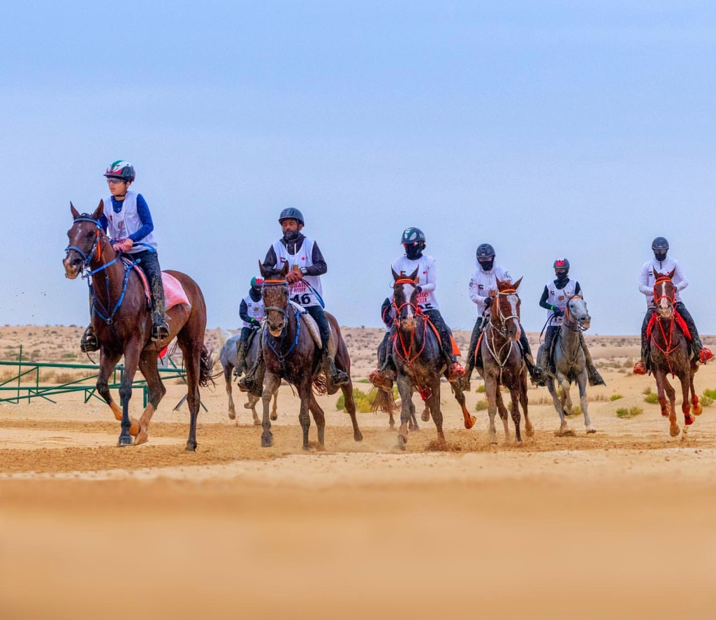 "المهرجان أولى فعاليات مدينة دبي الدولية للقدرة في العام الجديد | البيان"