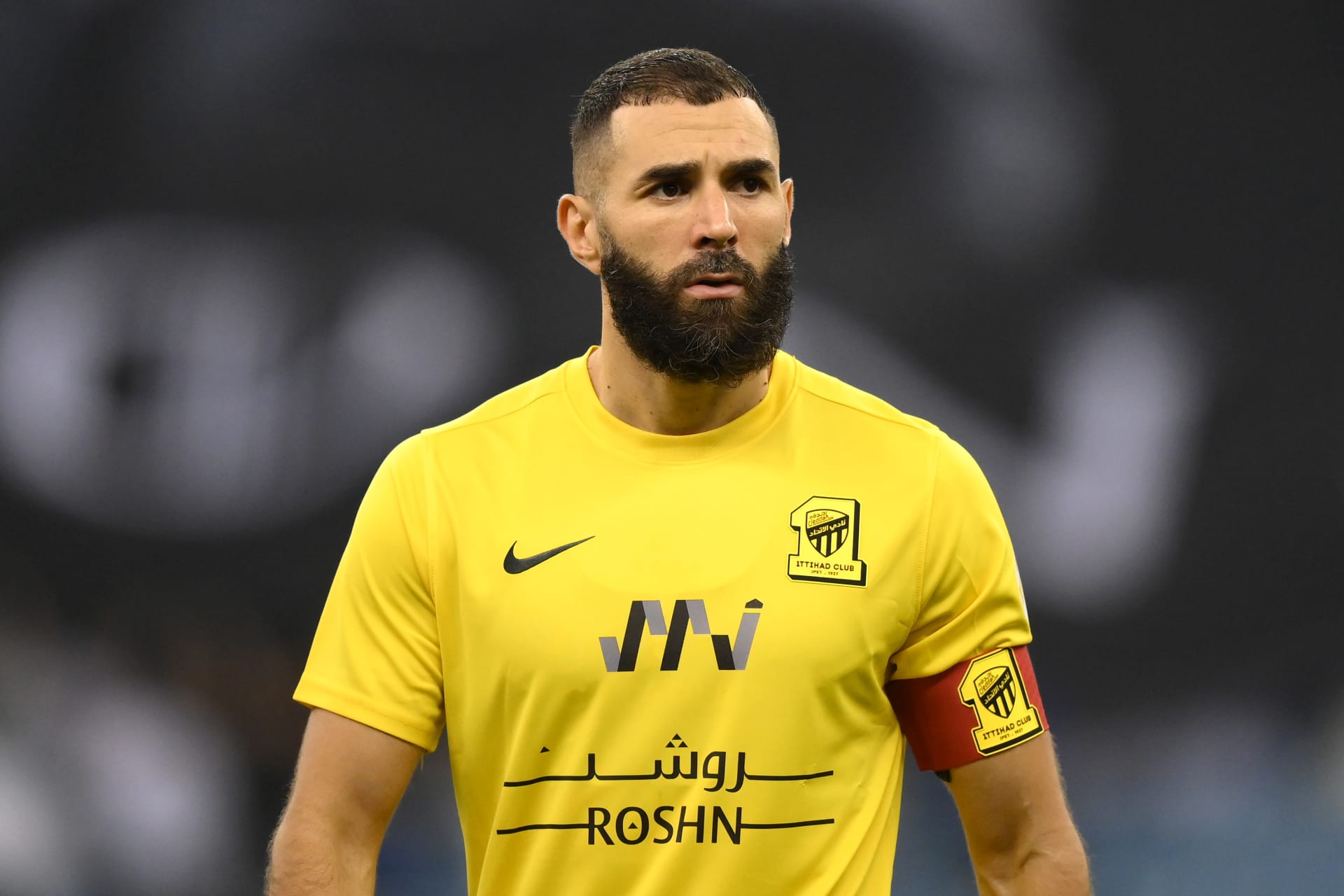 من "نمر" إلى "قط وديع".. الانتقادات الحادة تنهال على بنزيمة