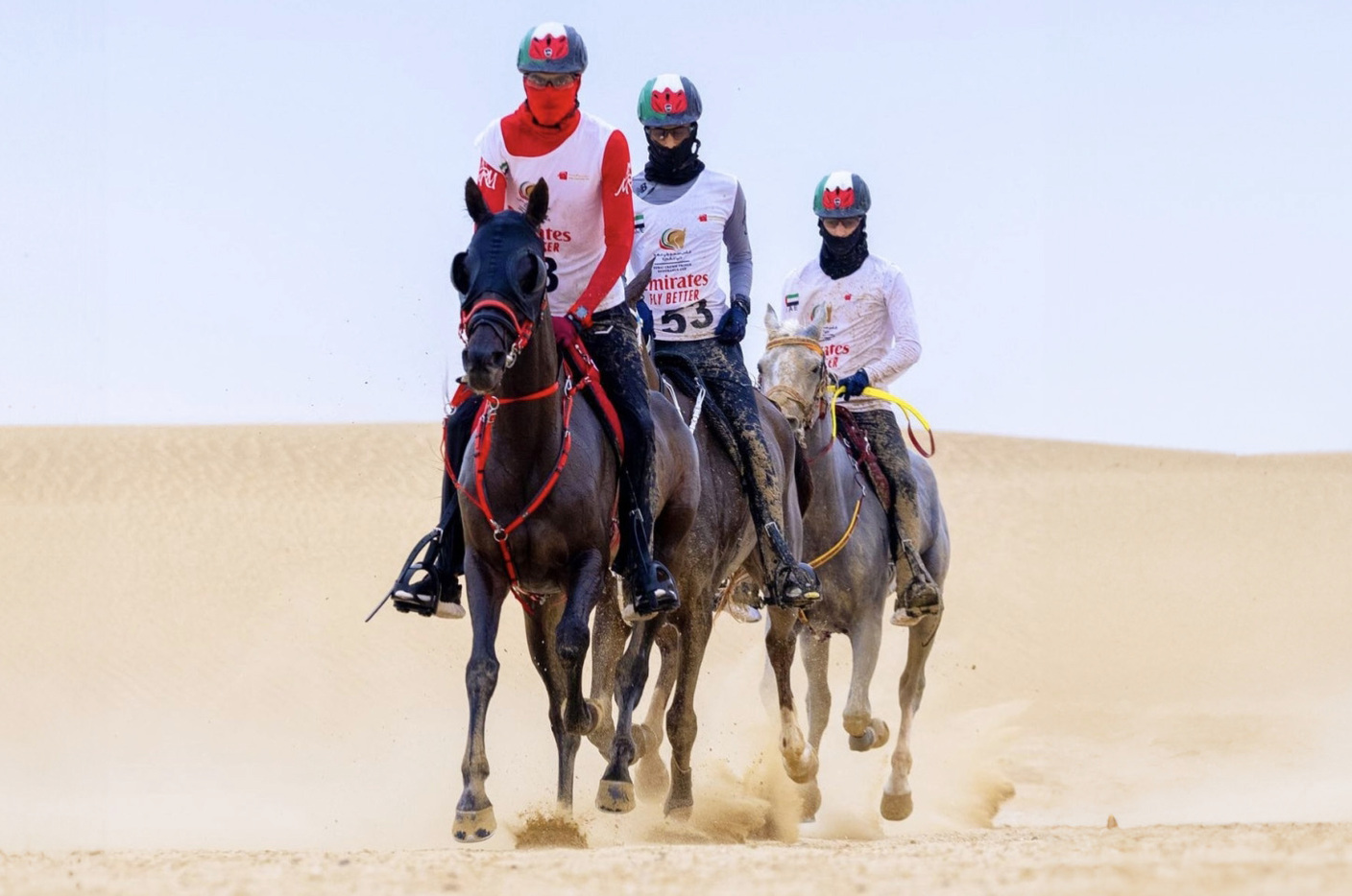 "مهرجان ولي عهد دبي للقدرة يشهد مشاركة واسعة | البيان"