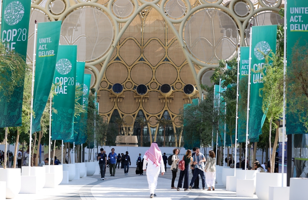 "المؤتمر استقطب الزوار من مختلف الجنسيات في العالم | أرشيفية"