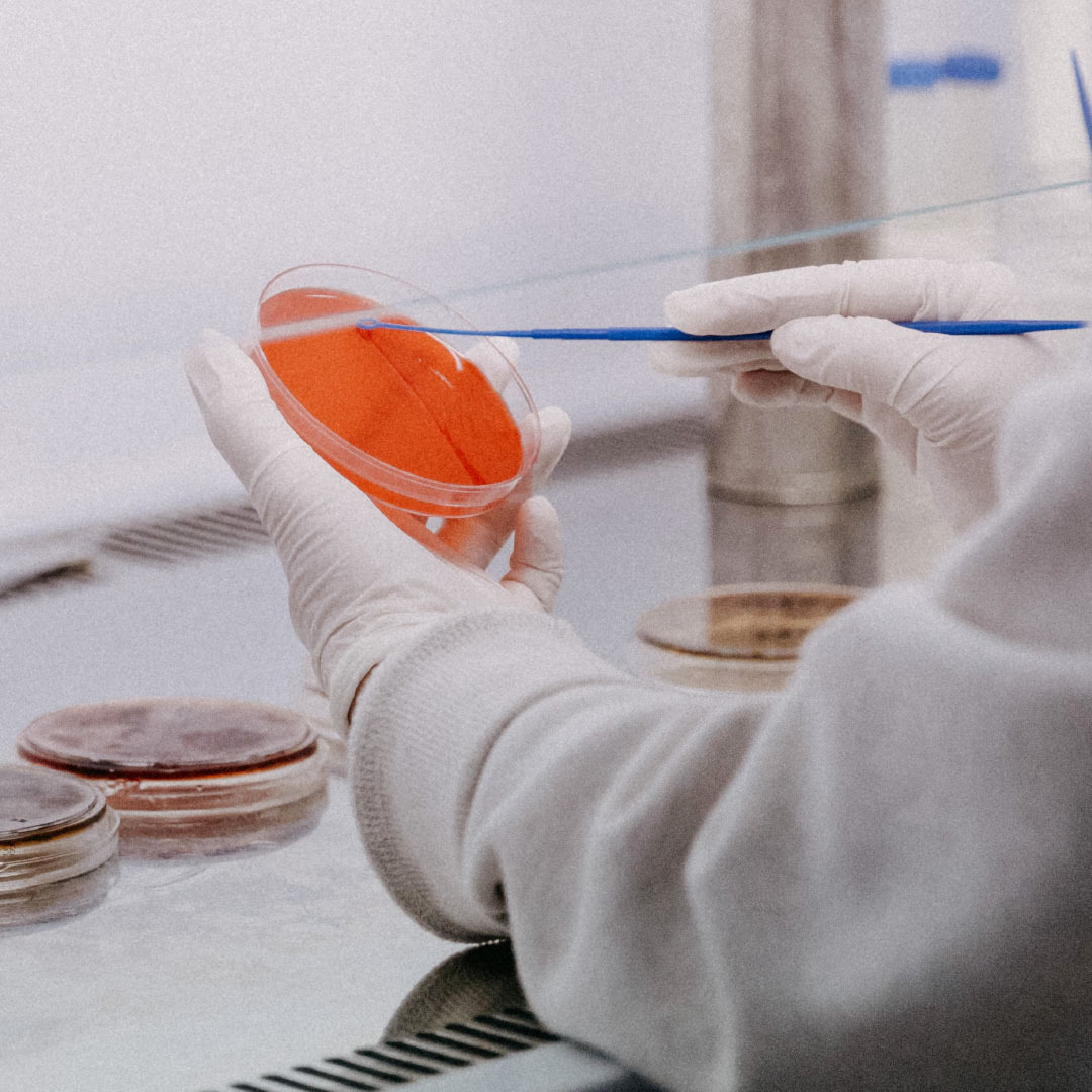 الجمعية الوطنية للتصلب المتعدد تمنح تمويلاً لـ 6 مشروعات مبتكرة
