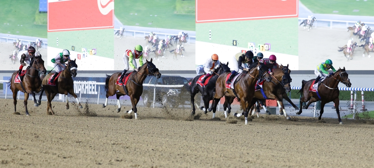 "«ميليتاري لو » مفاجأة «آل مكتوم كلاسيك» | البيان"