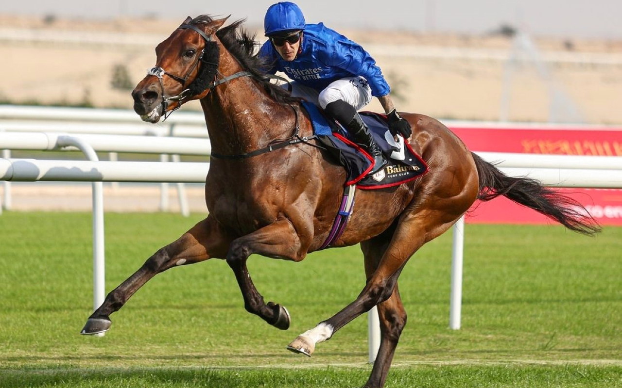 "«ريل ورلد » حقق اللقب بجدارة | من المصدر"