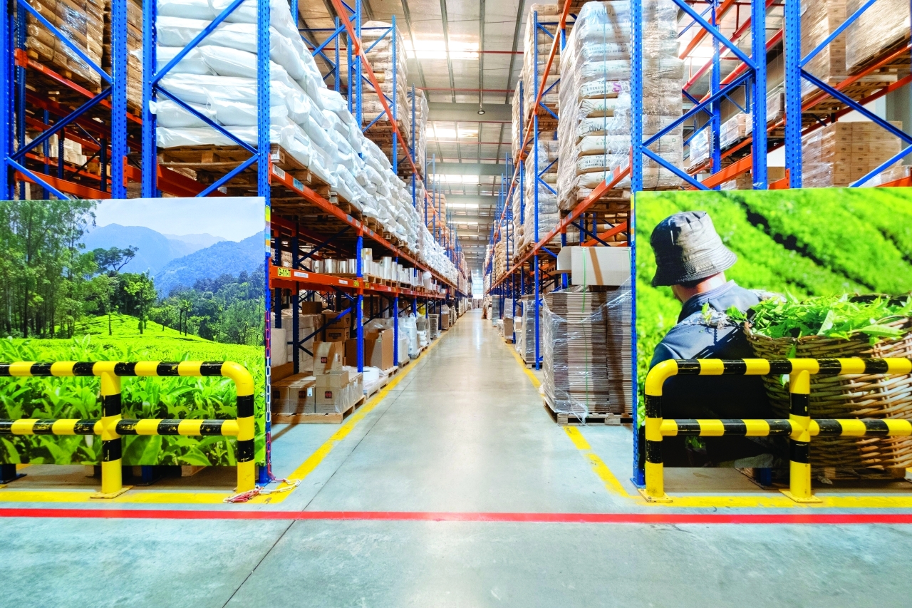 "المركز يستهدف زيادة عمليات التصنيع | من المصدر"