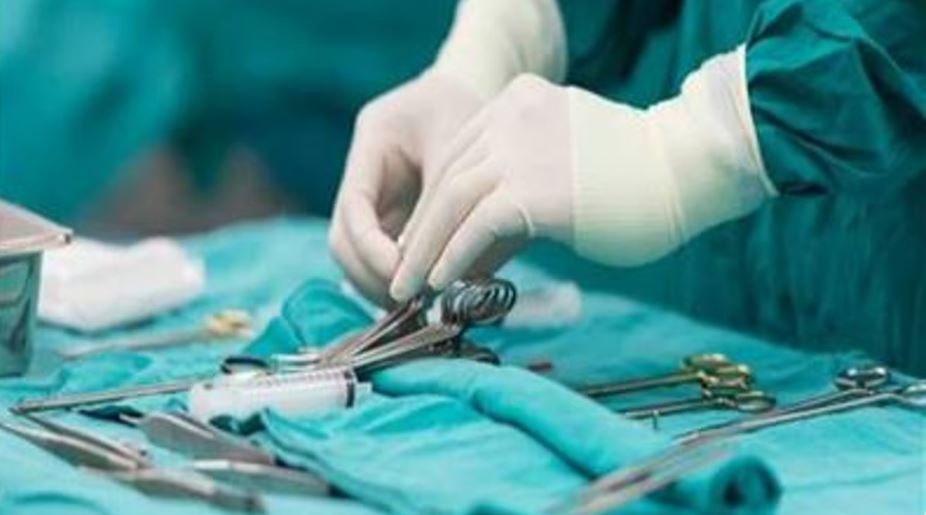 إجراء أول عملية زرع كلى من خنزير إلى إنسان في بوسطن