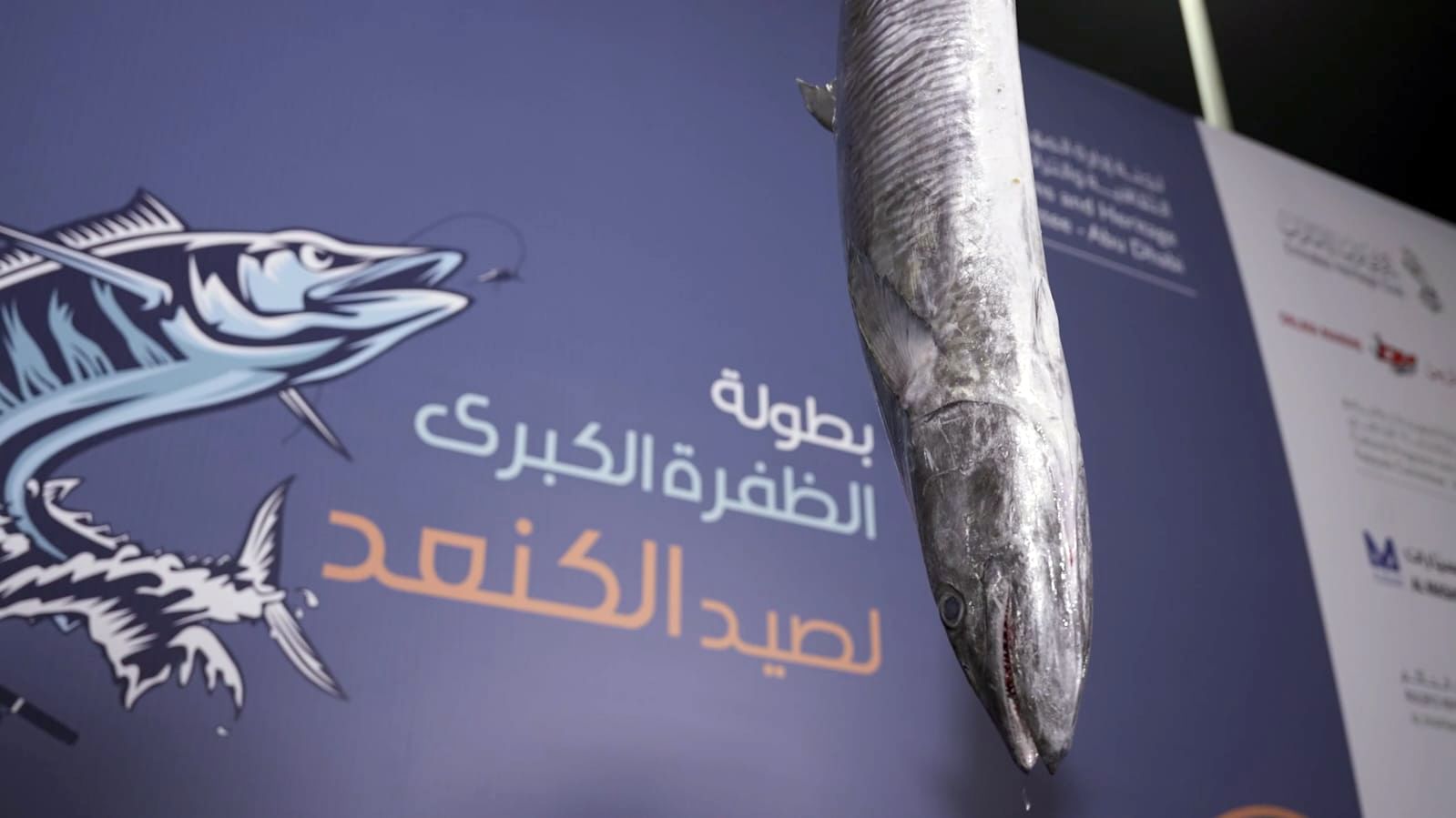 487 مشاركا في بطولة الظفرة الكبرى لصيد الكنعد بمرحلتها الختامية