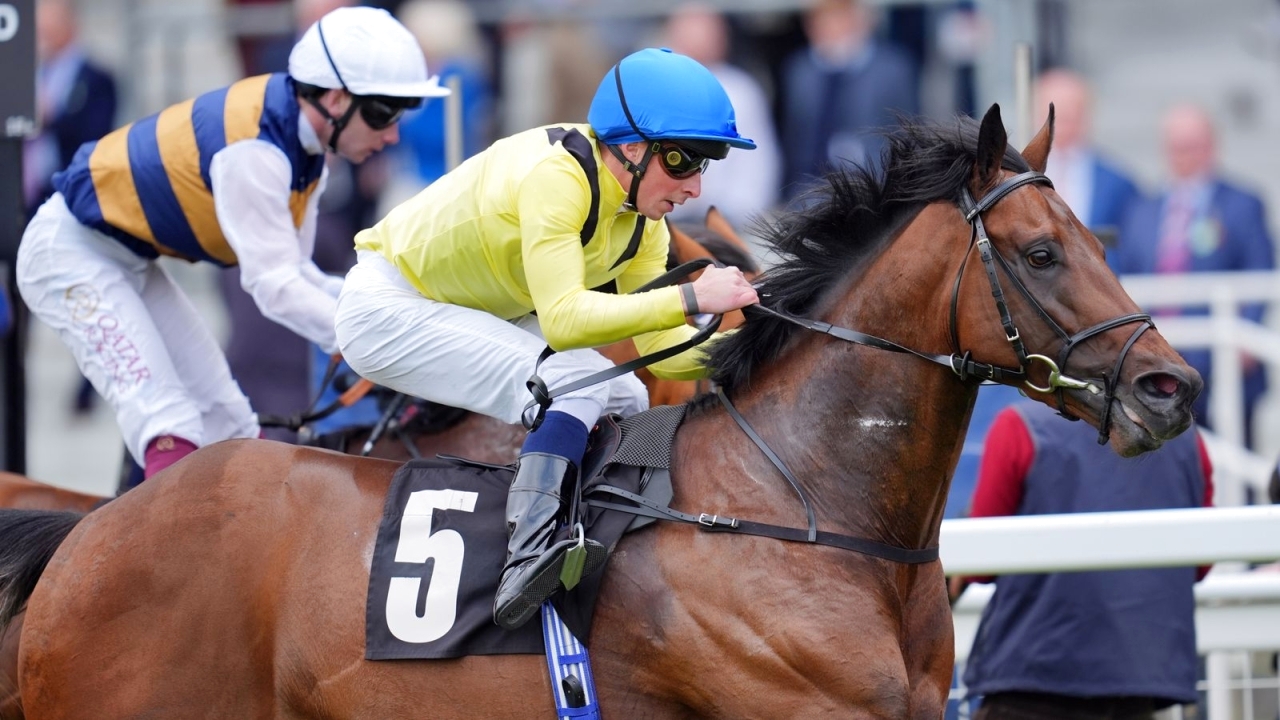 "«قدوة» حقق اللقب بجدارة | من المصدر"