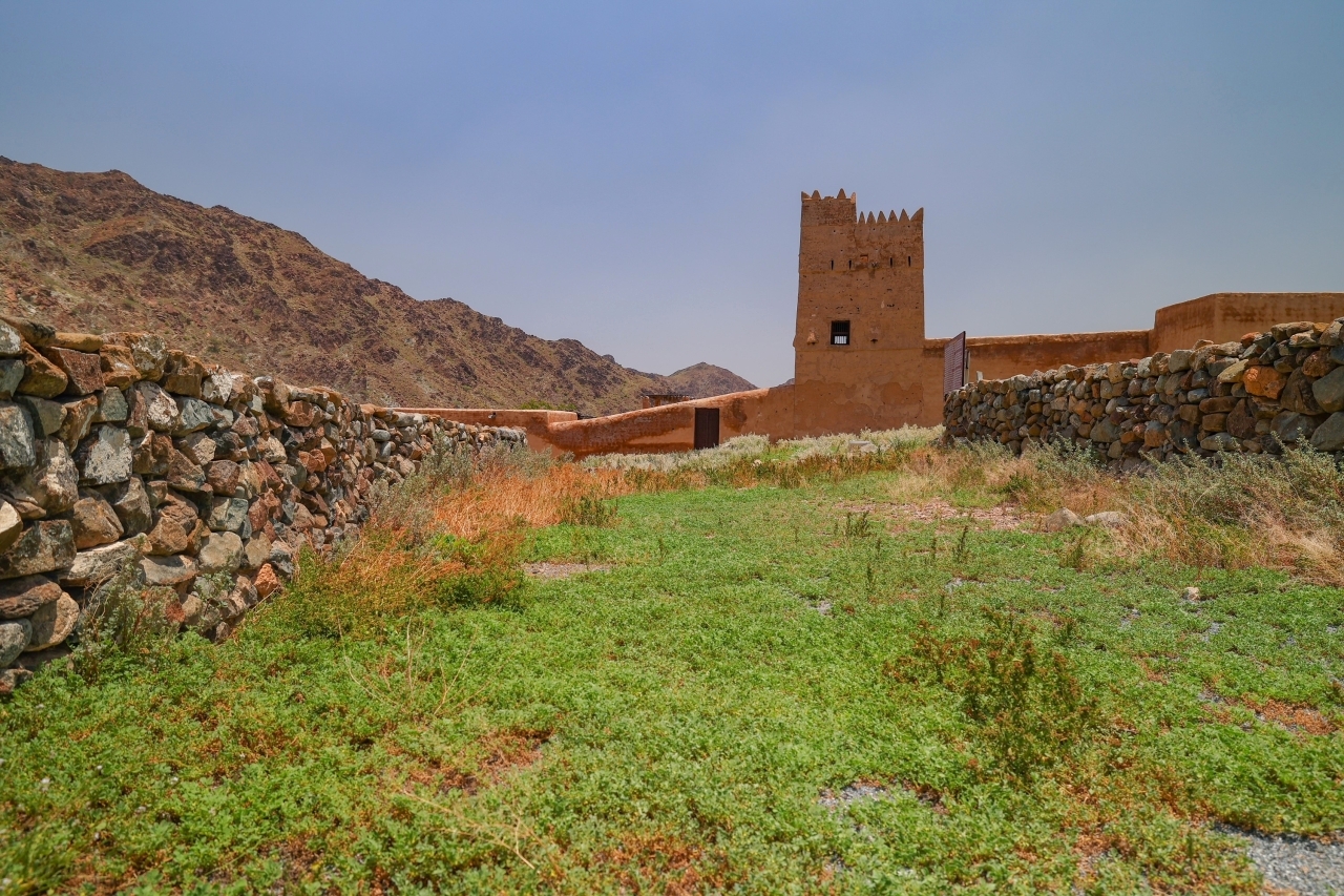 مسؤولون ومواطنون: غزارة الأمطار تعزز المياه الجوفية والحياة البرية