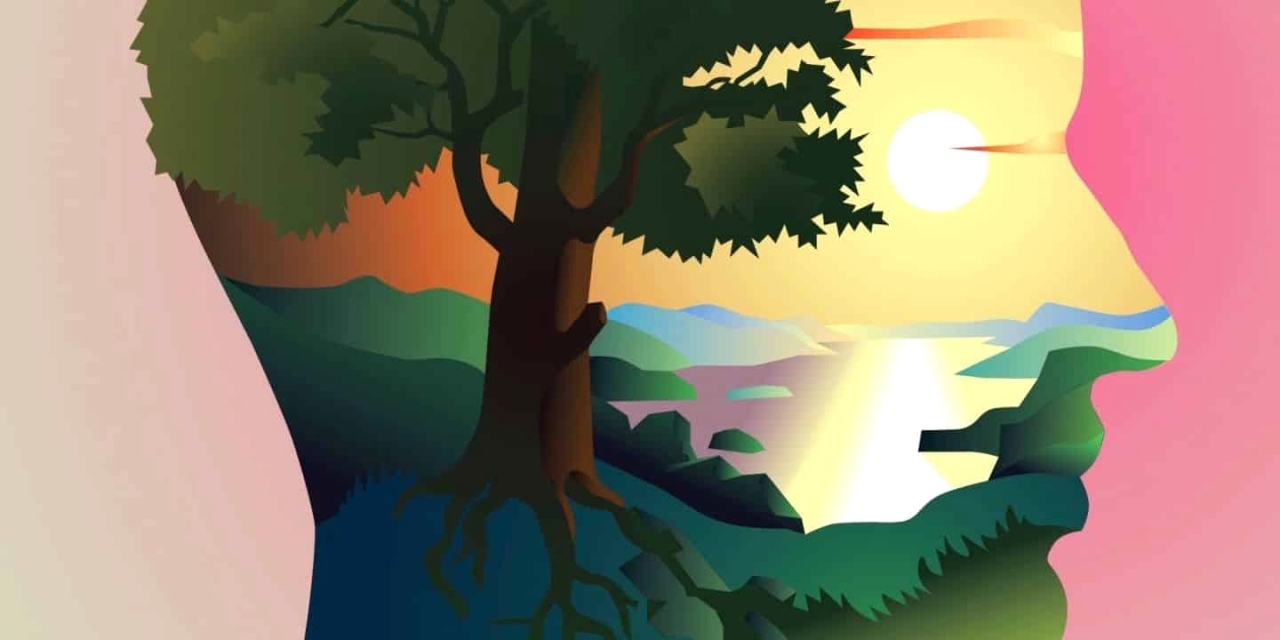 دور محوري للإنسان في تعزيز التوازن البيئي