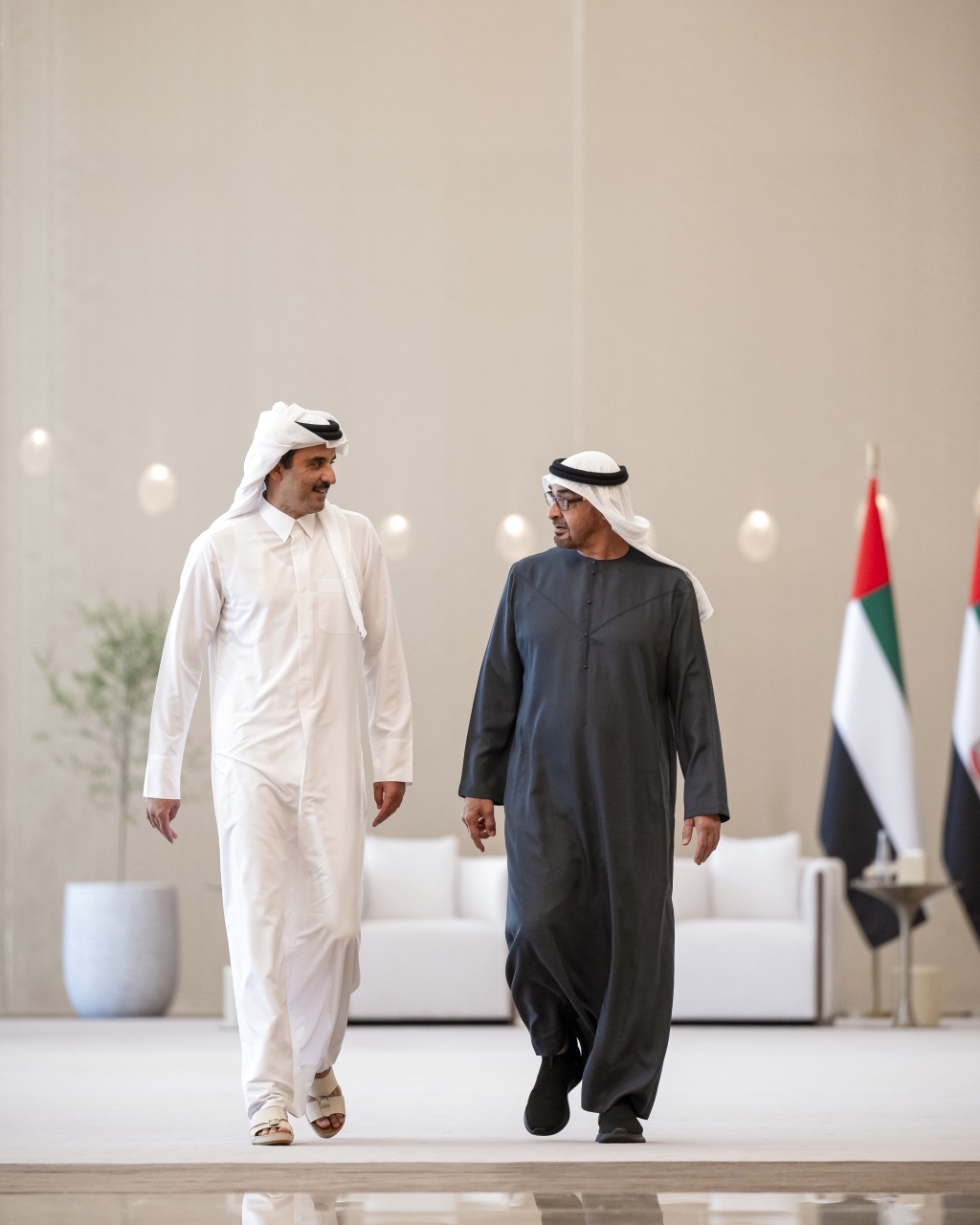 "محمد بن زايد وتميم بن حمد في حديث أخوي"