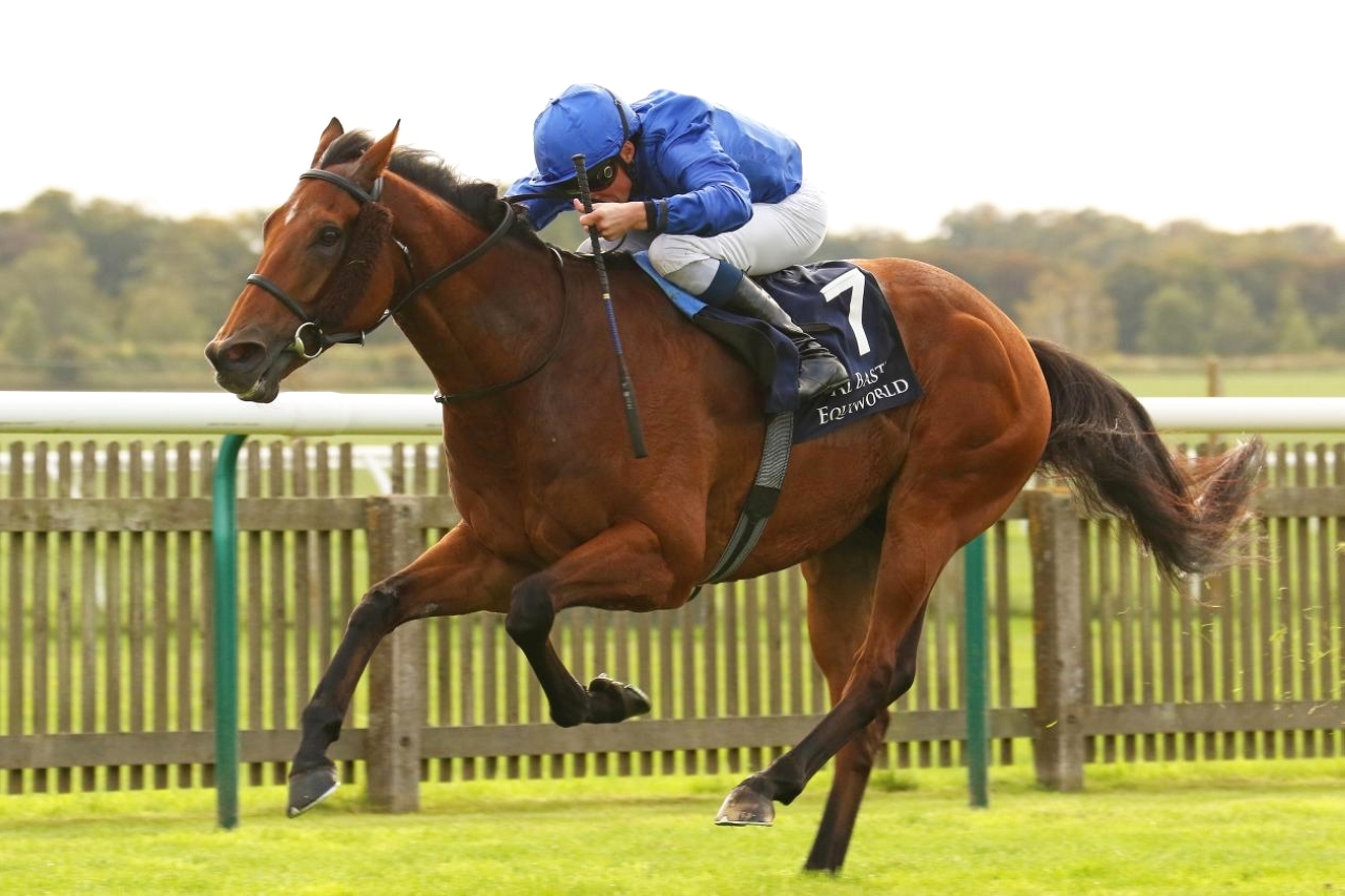 "«سيسكاني» ينشد الفوز في أمريكا | لبيان"