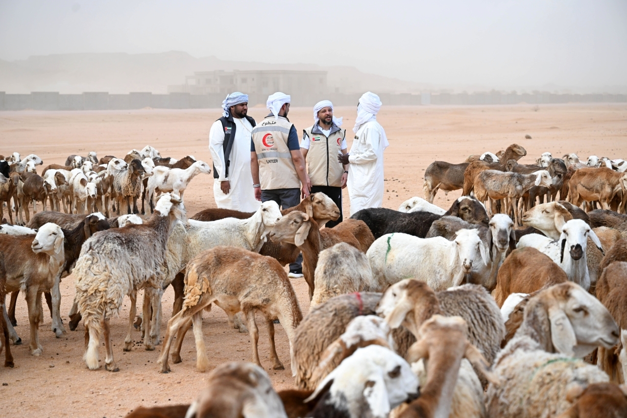 "الخطوة ضمن سلسلة مشاريع تنفذها الدولة | وام"