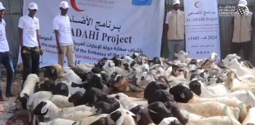 "الهلال " يوزع كسوة العيد و الأضاحي على الأسر الصومالية غير القادرة في مقديشو