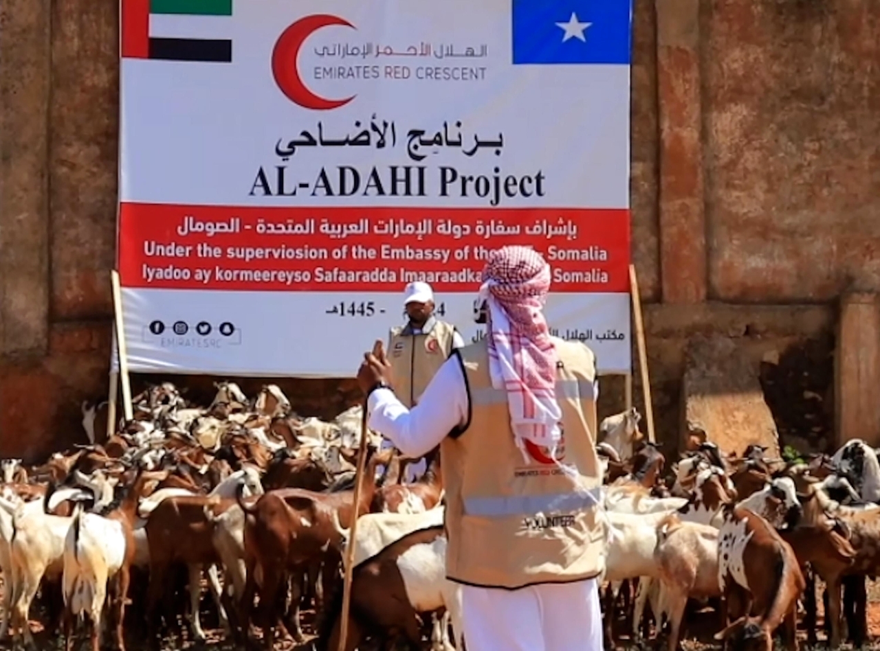 «الهلال الأحمر» توزع كسوة العيد والأضاحي على الأسر الصومالية