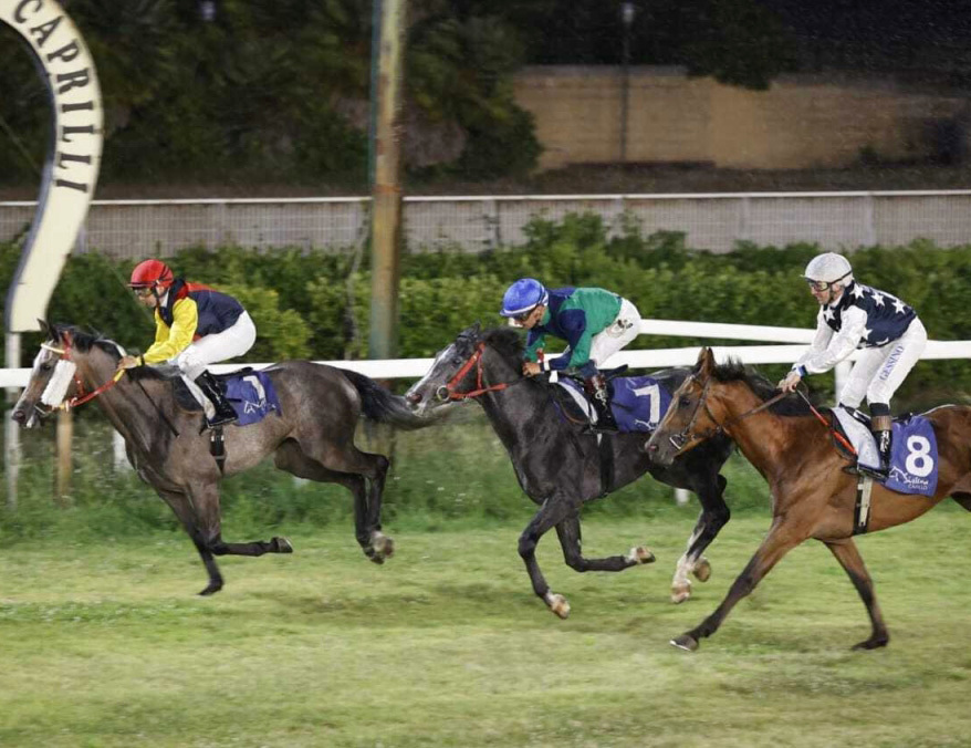 كأس الوثبة للخيول العربية في إيطاليا اليوم