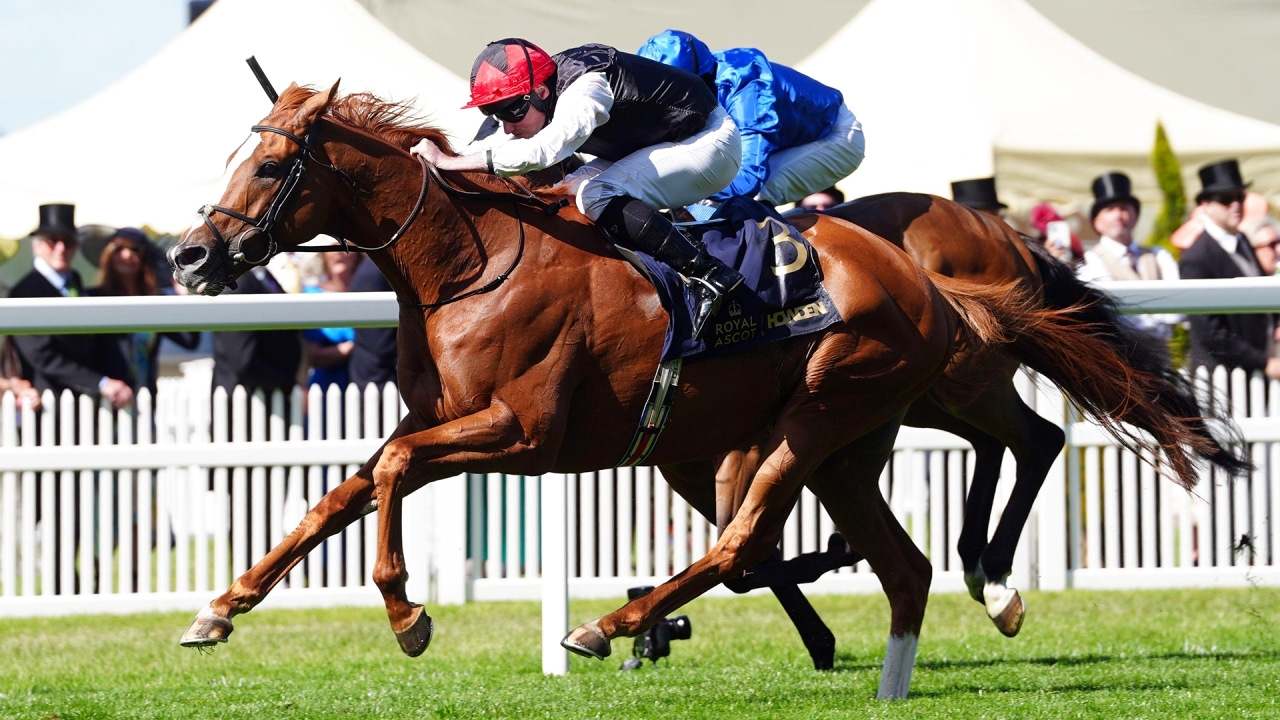 مهرجان «جلوريوس جودوود» ينطلق اليوم بإنجلترا