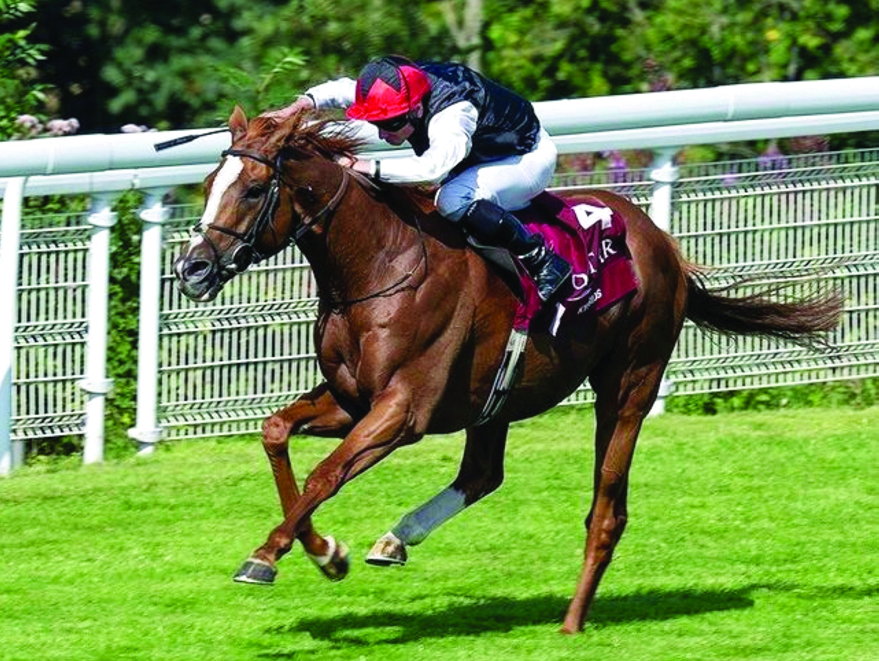 "جانب من السباق | من المصدر"