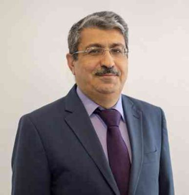 أنس عبدالحي