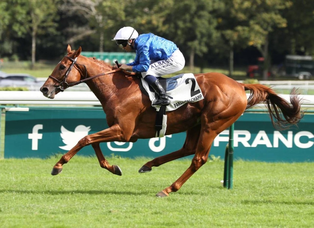 «ترايباليست» لجودلفين يستهدف ثنائية من الفئة الأولى في لونغشامب
