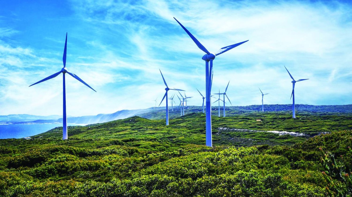 نطاق الاستثمارات الإماراتية يغطي مختلف القطاعات