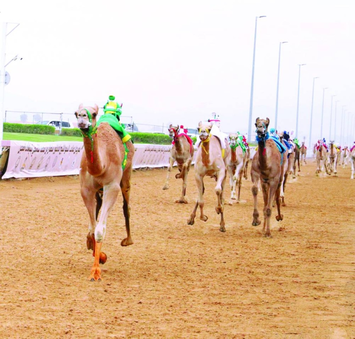 من منافسات الموسم الماضي
