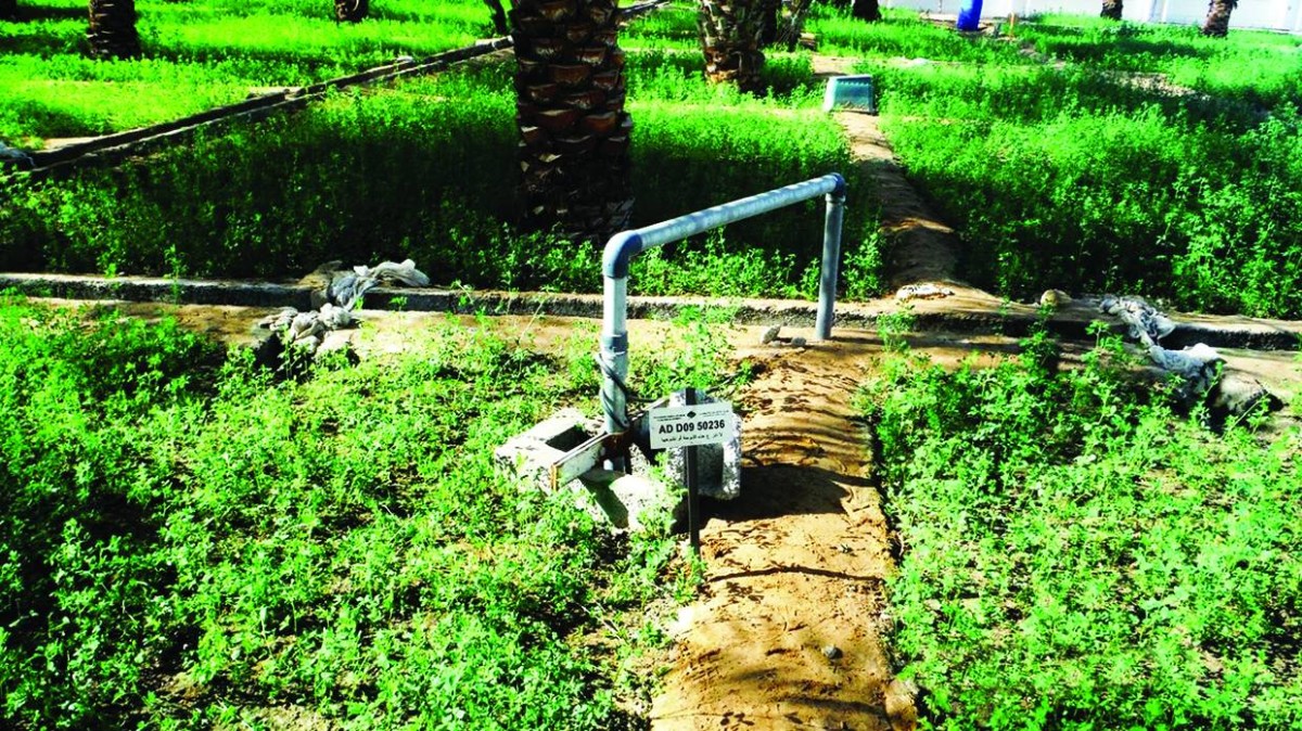 جهود مكثفة لحماية المياه الجوفية