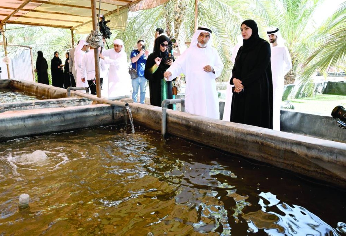 صفر هدر في المياه في مزرعة المواطن عبدالرحمن الشامسي