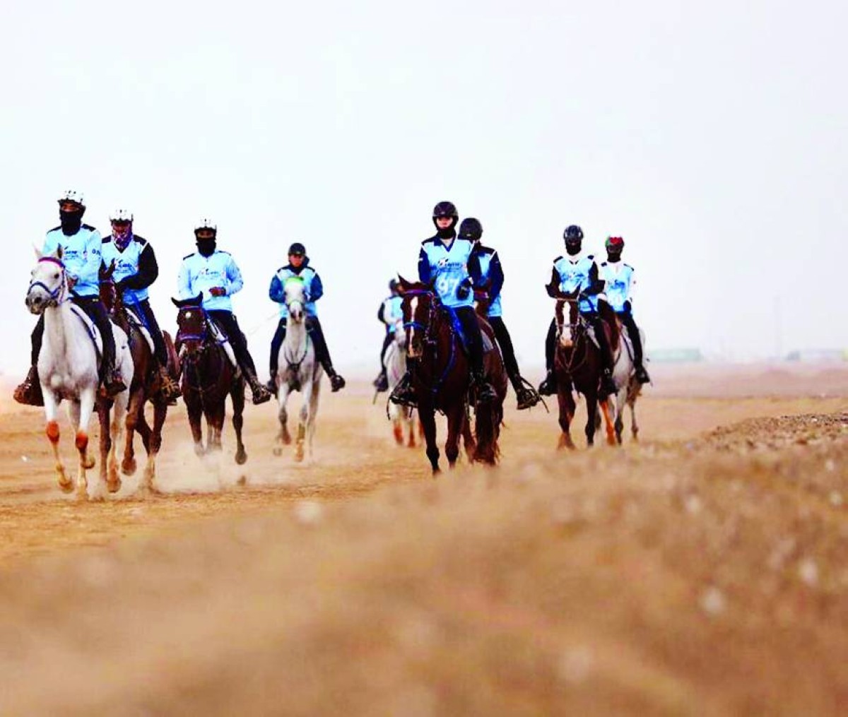 إنجازات متواصلة للإمارات في الفروسية 