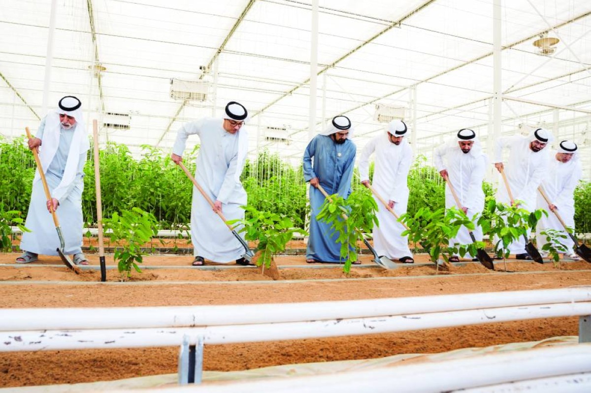القيادة حريصة على إطلاق المبادرات الداعمة للزراعة