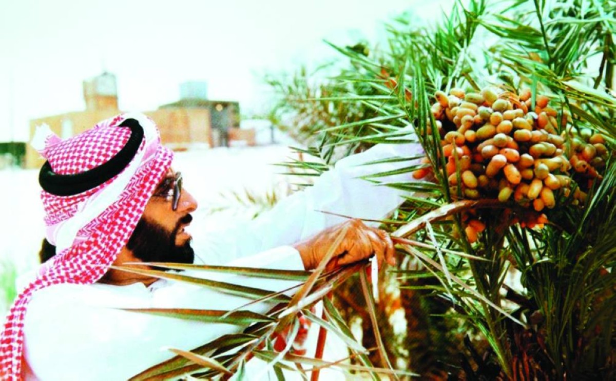 زايد اهتم بالزراعة ووفر لها كل مقومات النجاح