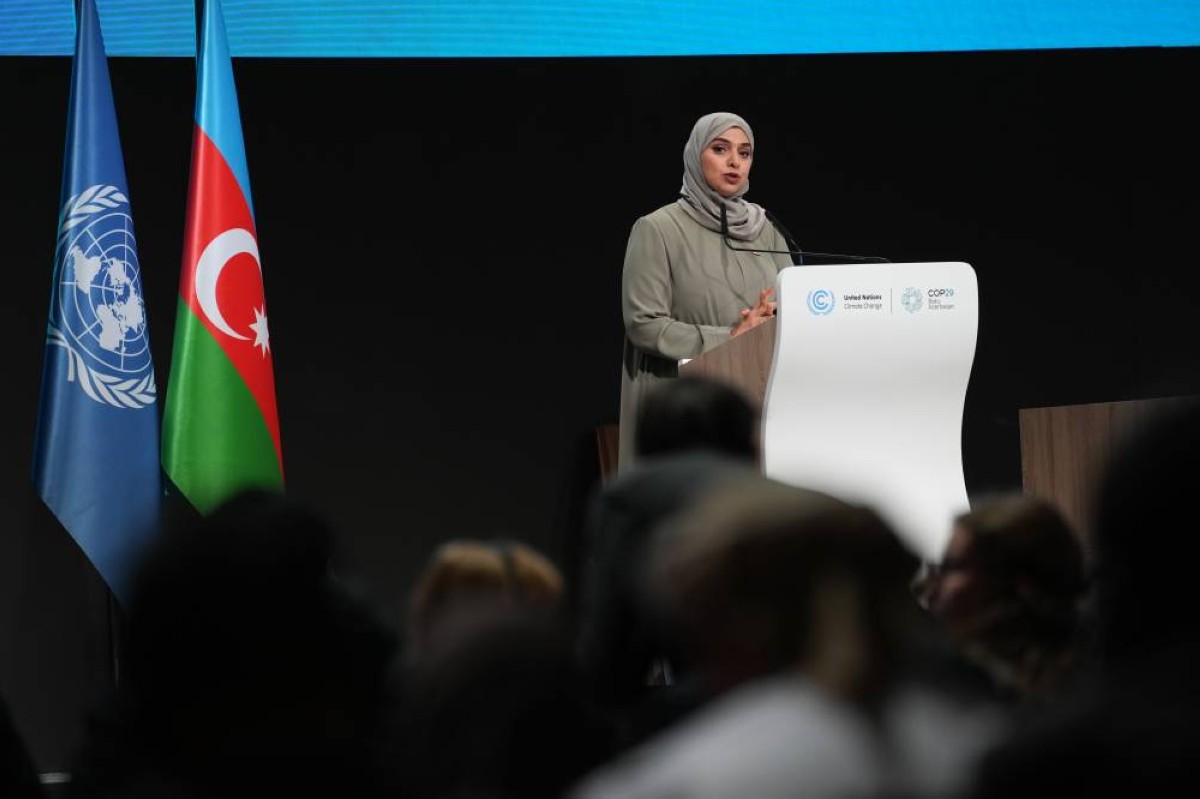 آمنة الضحاك متحدثة خلال «COP29»