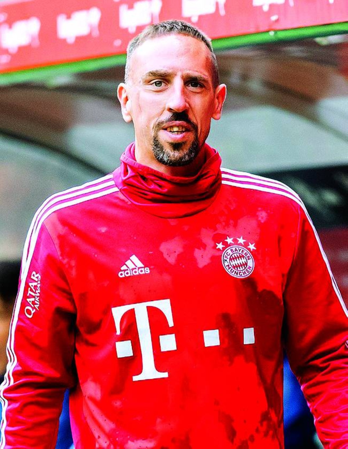 فرانك ريبيري