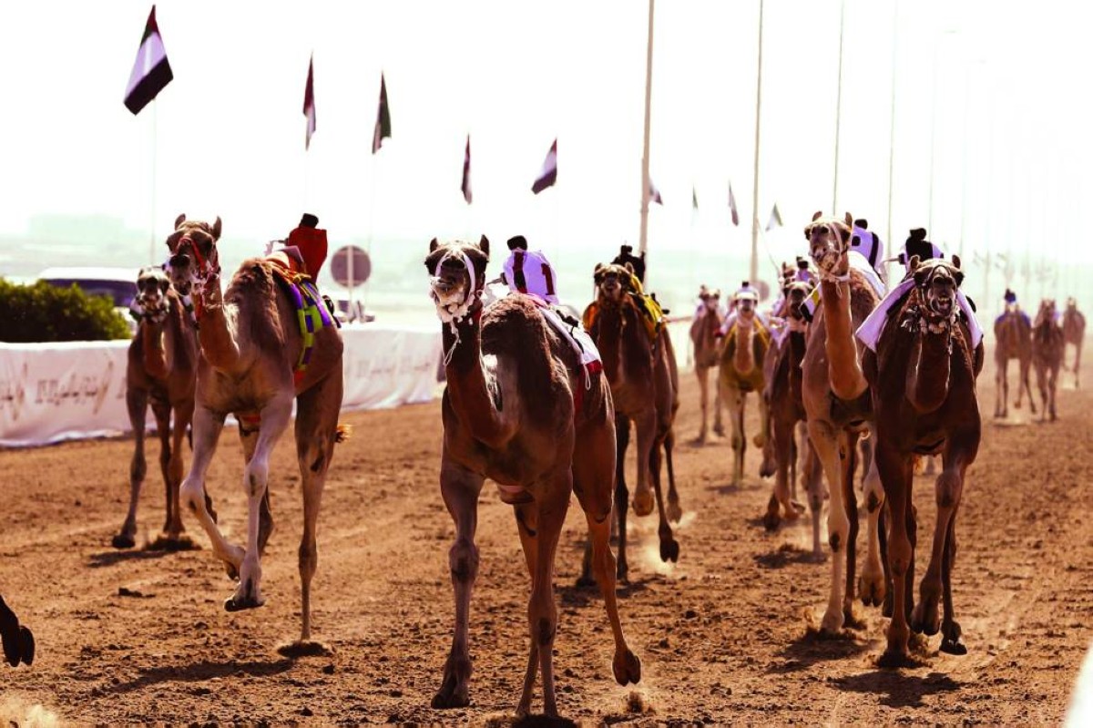 جانب من المنافسات