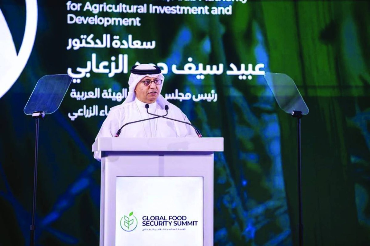 عبيد الزعابي خلال تقديم العرض