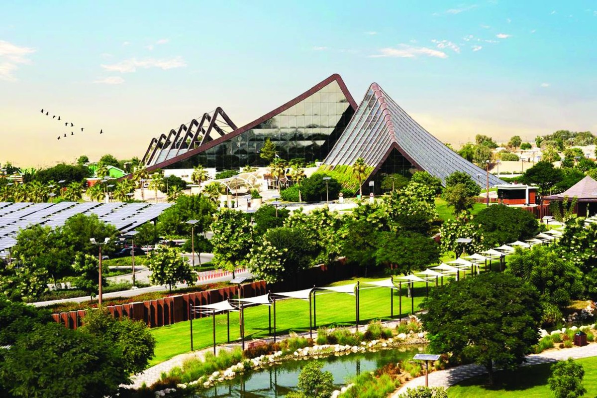 نجاحات وإنجازات متواصلة تعزز مكانة الإمارة عالمياً 