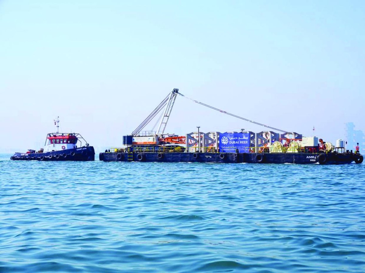 المشروع سيسهم في تحقيق الأمن الغذائي