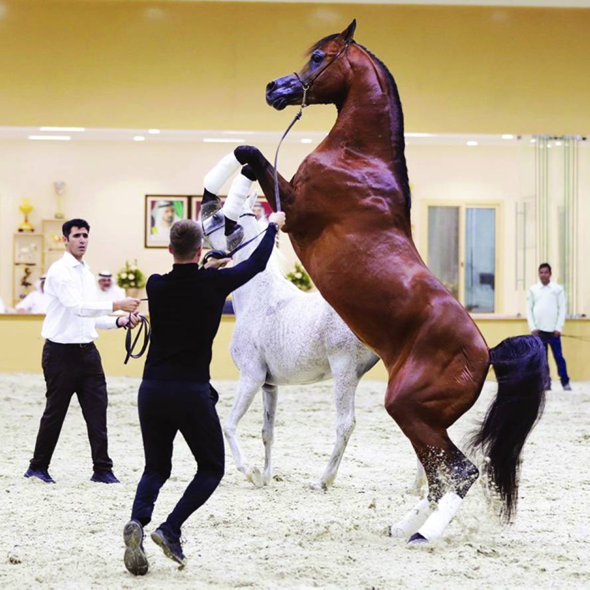 «إف إيه إل رشيم» |