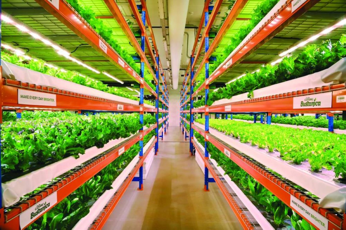 المزرعة وفرت تقنيات زراعية متقدمة تضمن استدامة الإنتاج