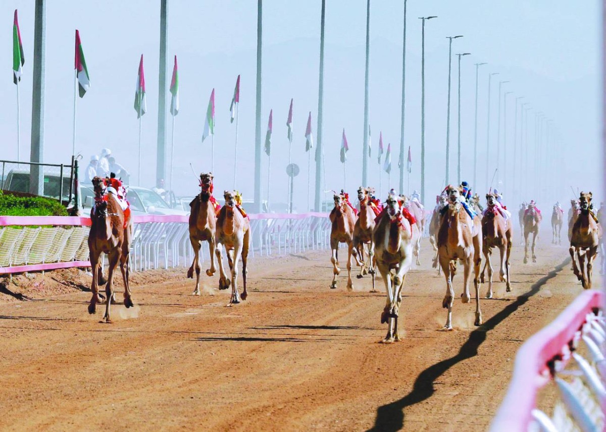مشاركة كبيرة في المهرجان 